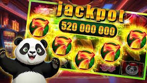 2555bet