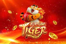 2555bet